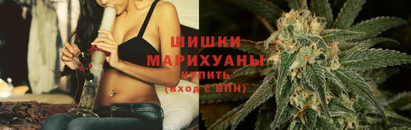 молекула духа Горно-Алтайск