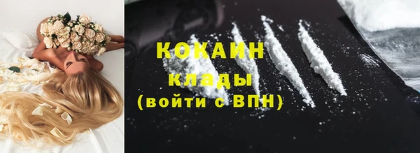 хмурый Горняк