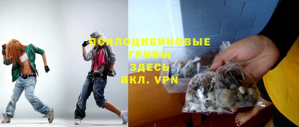 молекула духа Горно-Алтайск