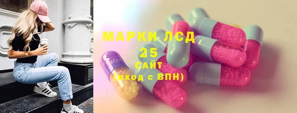хмурый Горняк
