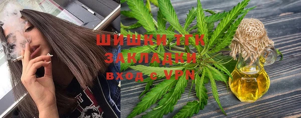 молекула духа Горно-Алтайск